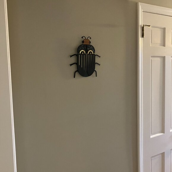 wall bug - Picture 4 of 6